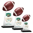 Edenwood Football VividPrint™ Award - Black
