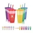 24oz Colour Changing Cup Tumbler with Lid and Straw