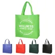 Non-Woven (13"W x 13"H x 5"D) Shopping Tote Bags
