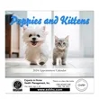Puppies and Kittens Stapled Wall Calendar