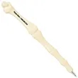 Finger Bone Shaped Pen