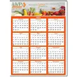 Yearly View Wall Calendar - Full Color