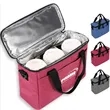 Water-Resistant Leakproof Large Lunch Box Insulated Tote Bag