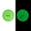 40 Hole Outdoor Glow in the Dark Pickleball