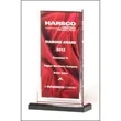 Deep Red Draped Satin Pattern w/ Silver Mirror Border Award