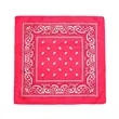 Bandanas Multi-Purpose Party Outdoor Favor Scarf Headband