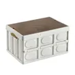 55L Collapsible Storage Bin
