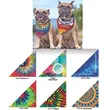 Color Pop Tie-Dye Stock Pet Bandanna Triangles - XS-Small