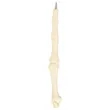 Finger Bone Pen