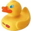 Blue Eyed Rubber Duck