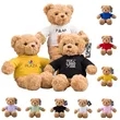 Custom Plush Teddy Bear with T-Shirt