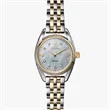 Shinola The Diamond Dial Derby Women's Bracelet Watch