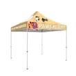 10' x 10' Canopy Tent w/ 30mm Steel Square Frame and Bag