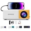 Portable mini projectors