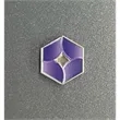 Custom Iron Magnetic Lapel Pin