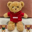 Custom Teddy Bear with Hoodie - Personalized Gift Idea