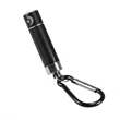 Mini Flashlight with Carabiner