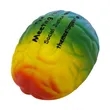 Rainbow Brain Stress Ball