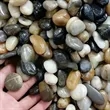 5 lbs Natural Mixed-Color River Rock & Pebbles for Garden