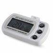 Digital Fridge Thermometer