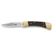 Buck Folding Hunter Lockback Knife