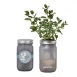 Modern Sprout Indoor Mint Herb Garden Jar Kit