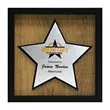 Newbury 10" x 10" Star Award with Brushed Silver Plate