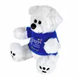Plush Bear w/ Embroidered Paws and T-Shirt