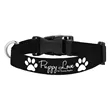20"L Heavy-Duty Pet Collar with Buckle Release