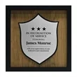 Newbury 10" x 10" Shield  Award with Brushed Silver Plate