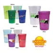 Sun Fun 17 oz. Stadium Cup, Full Color Digital