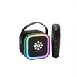 Wireless Karaoke Speaker with Microphone