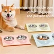 Stainless Steel Pet Bowl with Tilted Anti-Spill Design