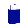 Colored Paper Bags