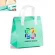 Reusable Non-Woven Takeout Tote Cooler 12inx12inx8in