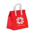 Reusable Non-Woven Takeout Tote Cooler 12inx14inx8in