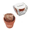 Seed Sensations Terracotta Pot With Holiday Wrapper
