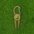 Golf Divot Tool With Clip Hook