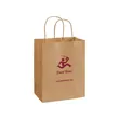 Printed Kraft Paper Shopping Bags (Single Sided)