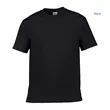 Hanes Authentic T-Shirt