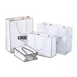 White Gift Bags With Handles
