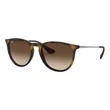Ray-Ban Erika Sunglasses