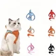 Breathable Secure Pet Harness and Leash Set