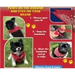 NEW Snap & Go Pet Triangle Medium - Large Sizes - USA Made