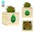 Wooden Planter with Artificial Succulent