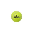 Tennis Mini Golf Ball