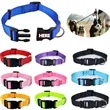 Pet Custom Collar
