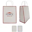 Laminated Paper Gift Bag