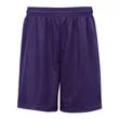 Badger Men's Mini Mesh 9'' Inseam Shorts
