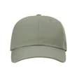 Richardson Sustainable Ashland Dad Hat